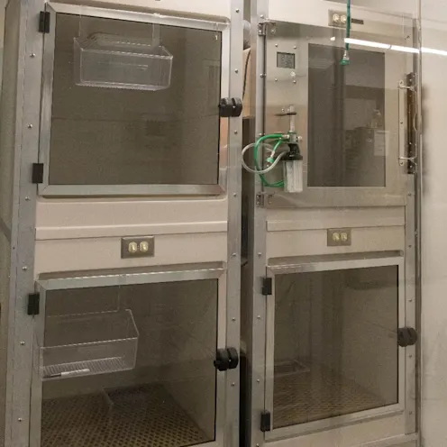 Isolation space in West Village Veterinary Hospital. Isolation space in West Village Veterinary Hospital.