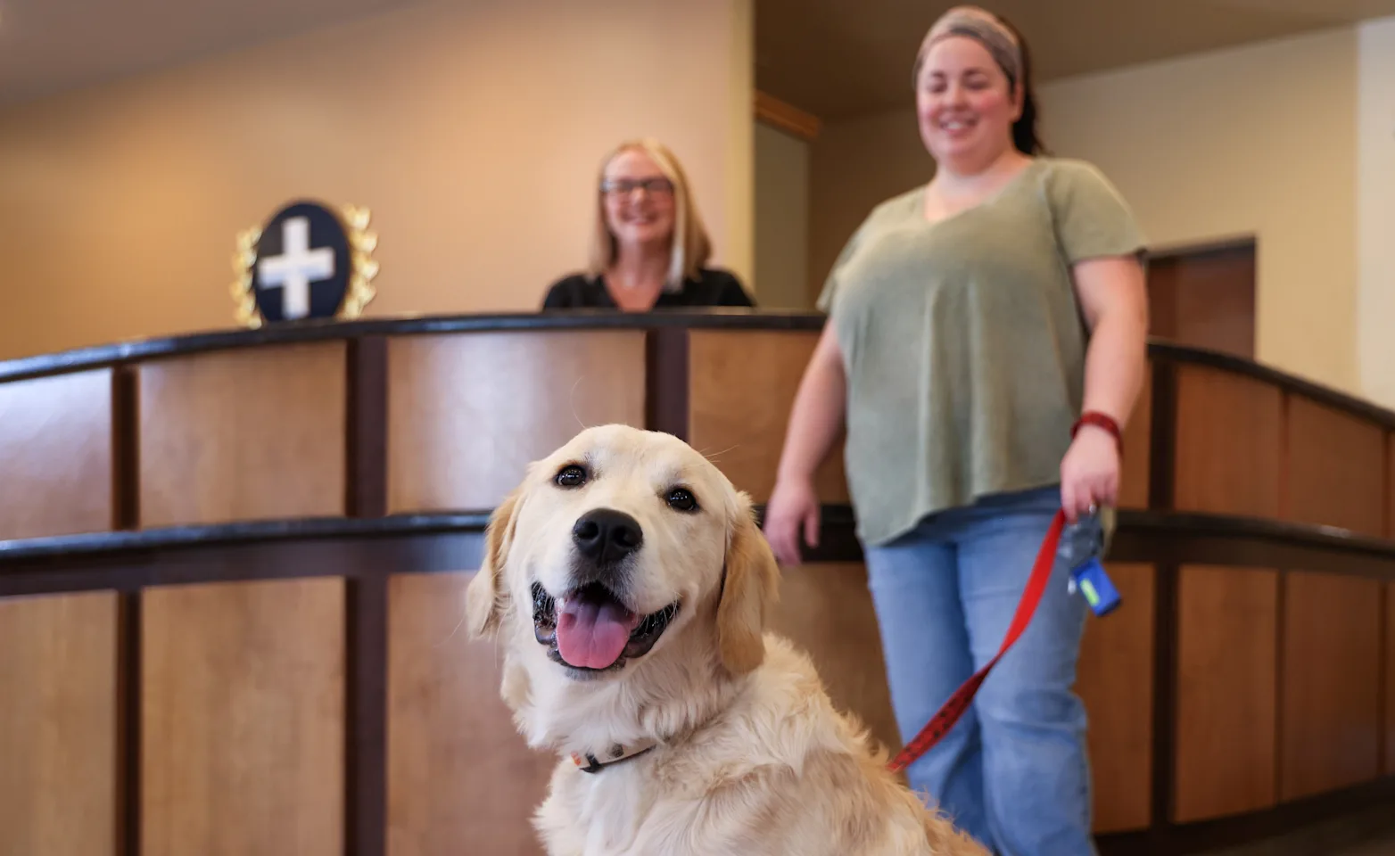 Golden Retriever smiling with owner Golden Retriever smiling with owner
