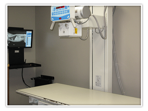 Inside Forest Hill Animal Hospital