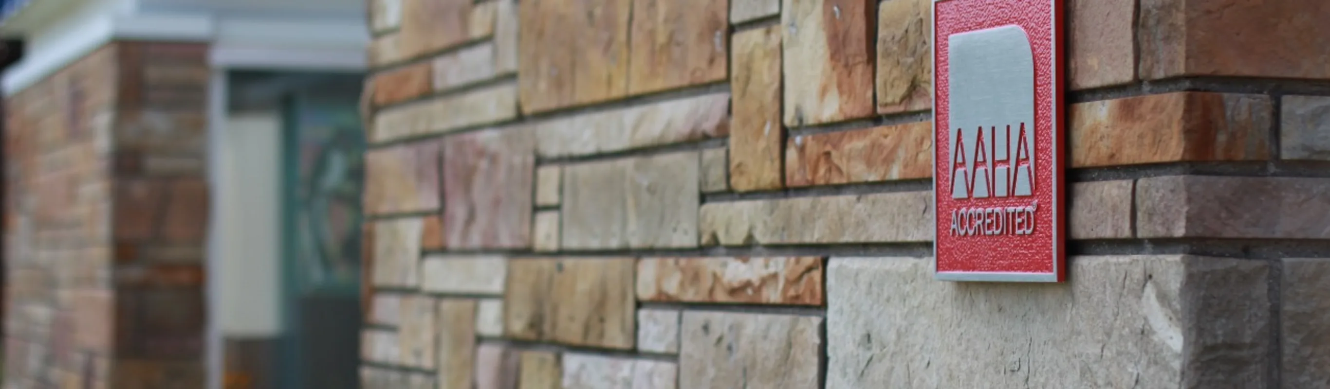 Brick wall with AAHA logo on it. Brick wall with AAHA logo on it.