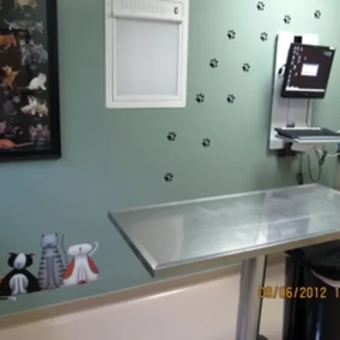 Chambersburg Animal Hospital examination room and table