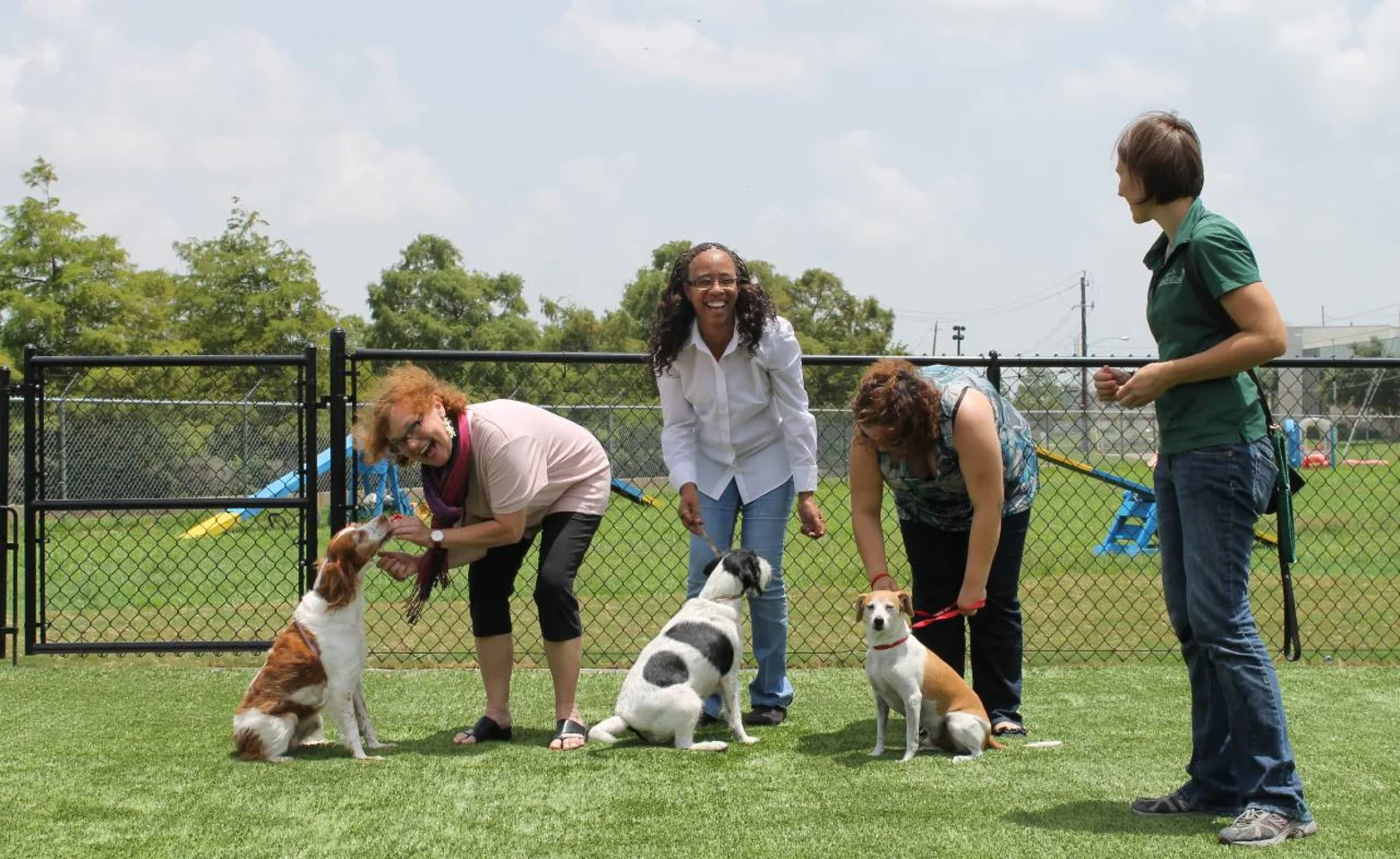 Clients in puppy class at Rover Oaks Pet Resort.