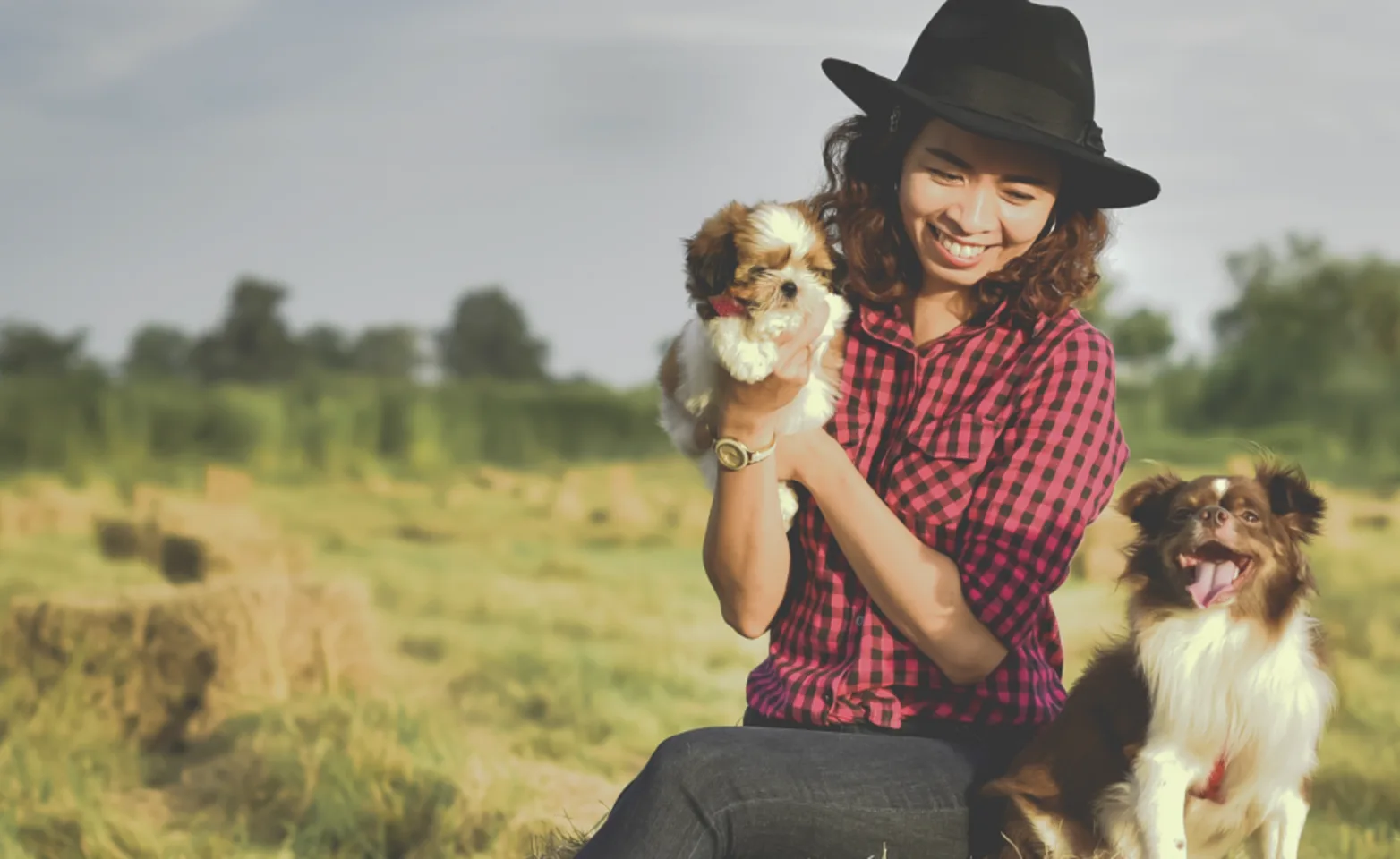 Woman in field with two dogs