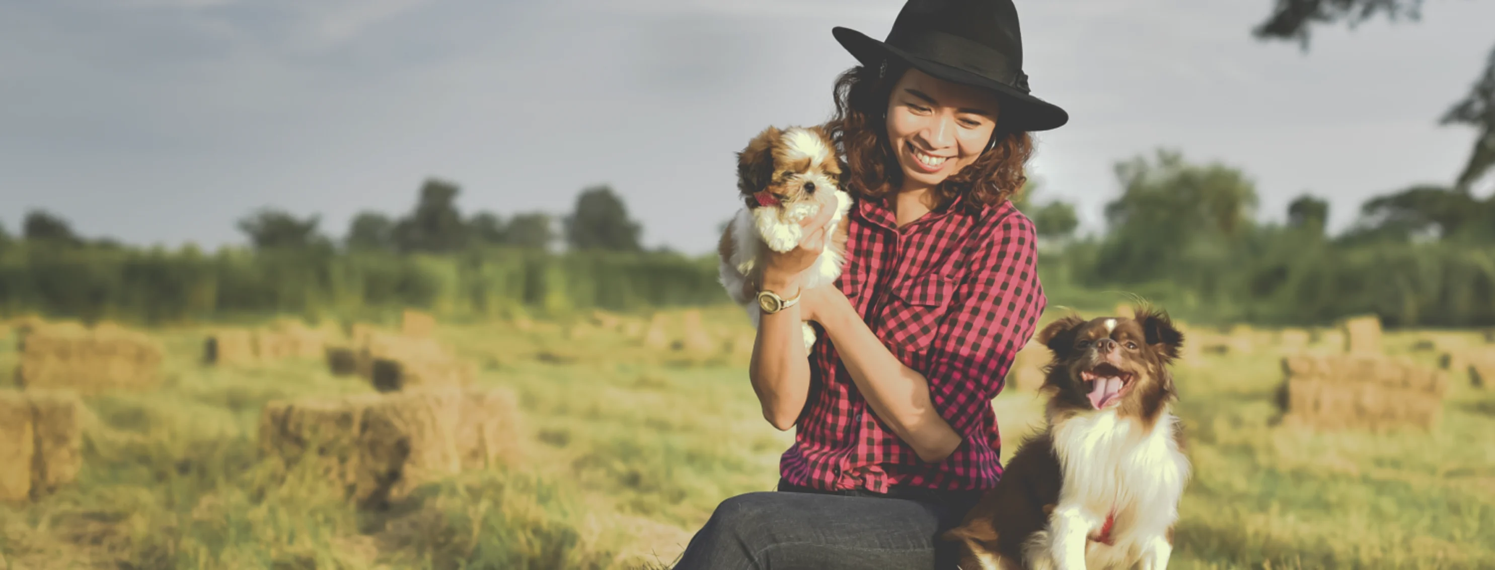 Woman in field with two dogs Woman in field with two dogs