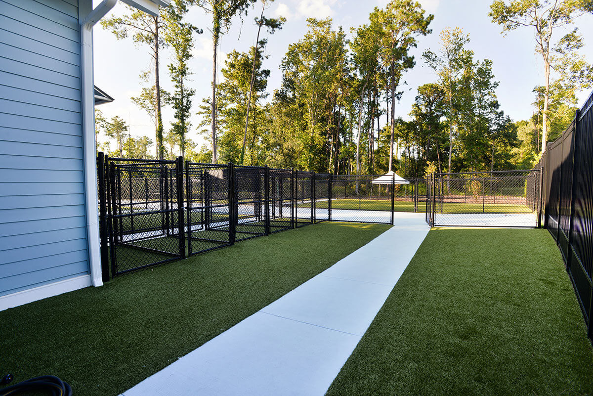 Outdoor Fenced Area with Kennels