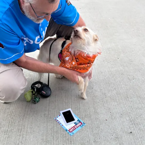 Dog Days at Toyota Field with North Alabama Veterinary Emergency & Specialty Dog Days at Toyota Field with North Alabama Veterinary Emergency & Specialty