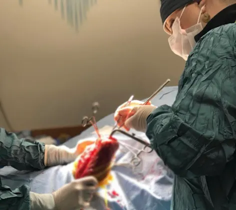 Dr. Oz conducting a surgery Dr. Oz conducting a surgery