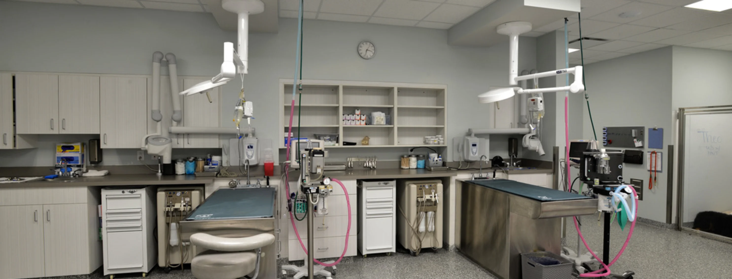 Dental care equipment at park west veterinary associates Dental care equipment at park west veterinary associates