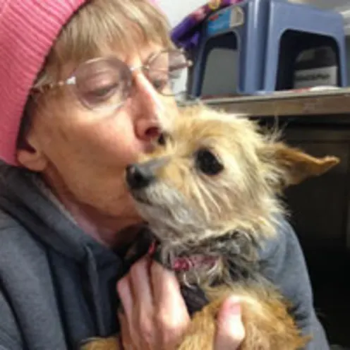 New Baltimore Animal Hospital's had the opportunity to have one of their dog's Missy get adopted in January 2015.