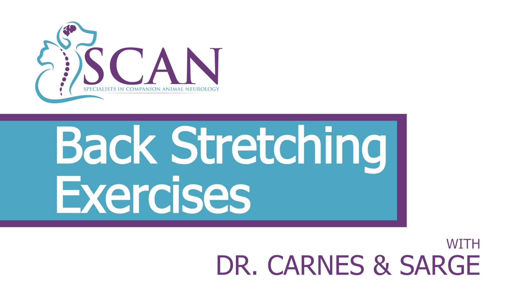 SCAN's Dr. Carnes demonstrates Back Stretching Exercises with Sarge