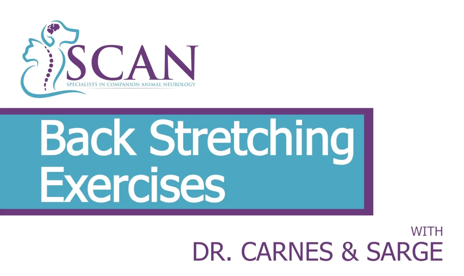 SCAN's Dr. Carnes demonstrates Back Stretching Exercises with Sarge