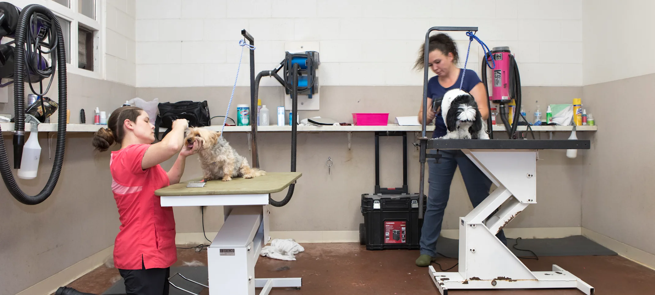 Grooming area Grooming area