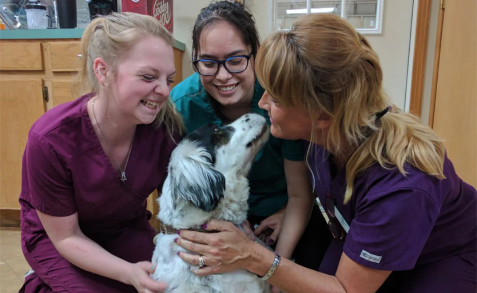 Three Staff Members with a White Dog Three Staff Members with a White Dog