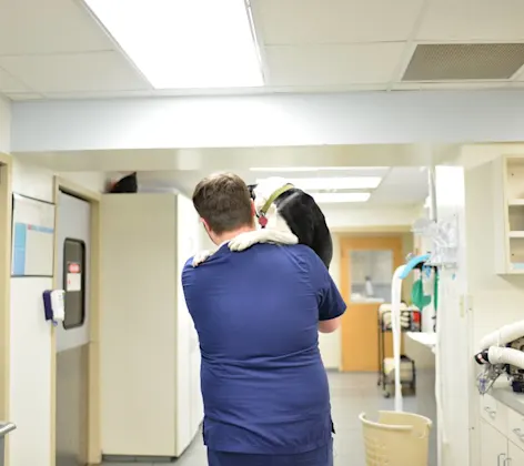 Animal Medical Center of Hattiesburg staff holding dog. Animal Medical Center of Hattiesburg staff holding dog.