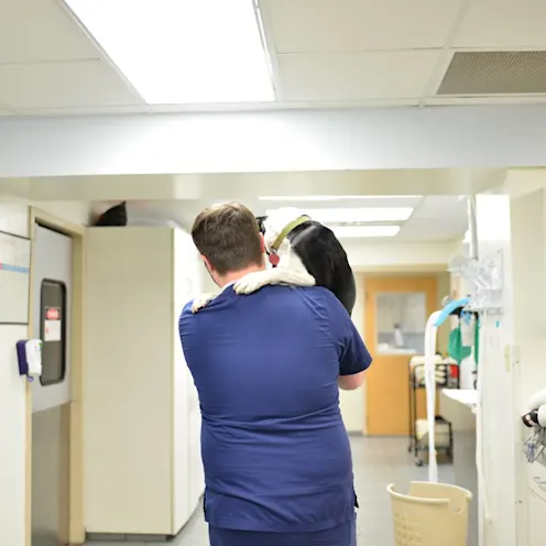 Animal Medical Center of Hattiesburg staff holding dog. Animal Medical Center of Hattiesburg staff holding dog.