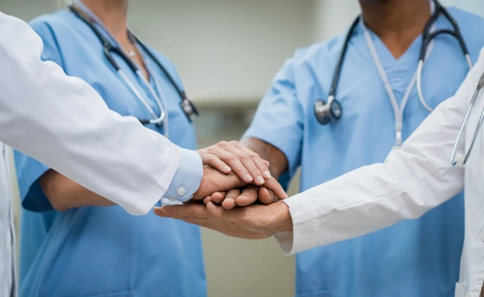 Veterinary team putting their hands together Veterinary team putting their hands together