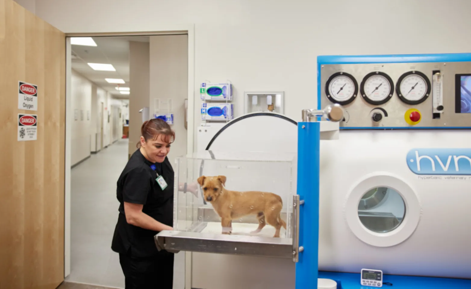 Vet utilizing GCVS equipment for Patient Vet utilizing GCVS equipment for Patient