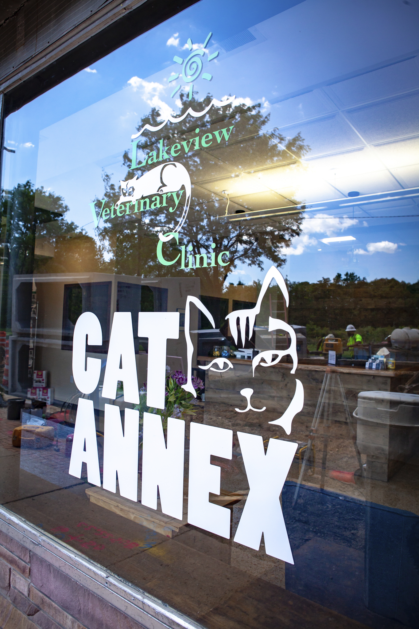 Cat Annex Window