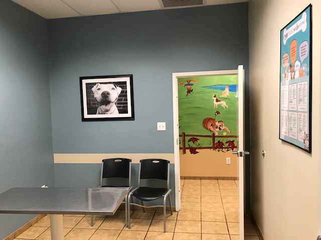 Patient exam room