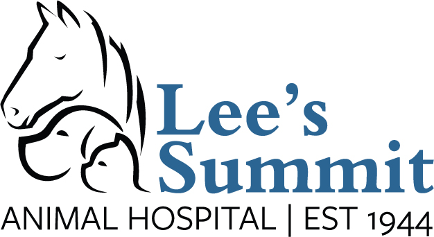 Homepage | Lee's Summit Animal Hospital