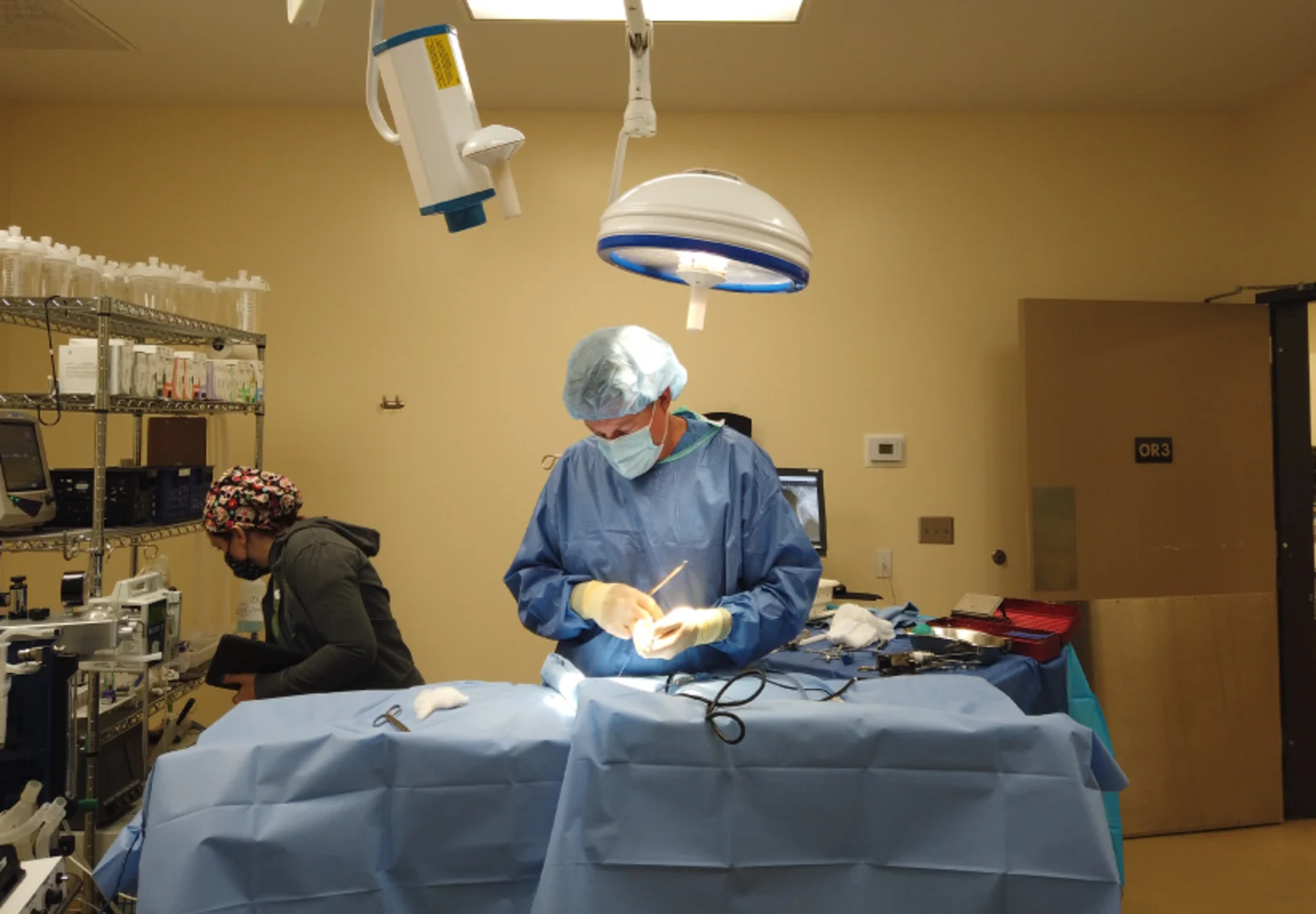 Doctor working at Mission Veterinary Emergency & Specialty Doctor working at Mission Veterinary Emergency & Specialty