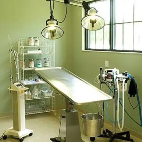 Braden River Animal Hospital Surgery Braden River Animal Hospital Surgery