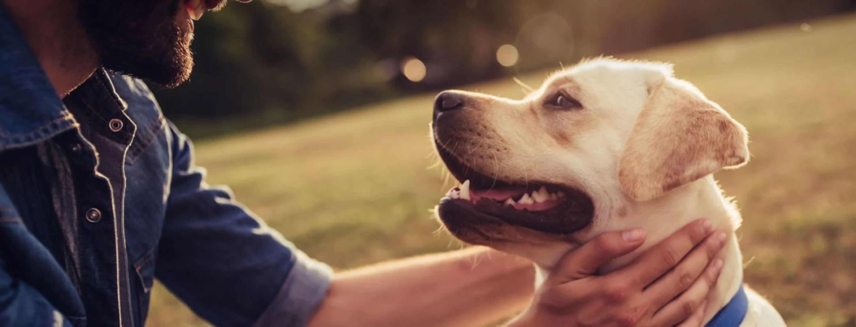White dog smiling at man with beard White dog smiling at man with beard