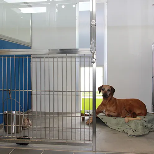 Lauderdale Pet Lodge Boarding Lauderdale Pet Lodge Boarding