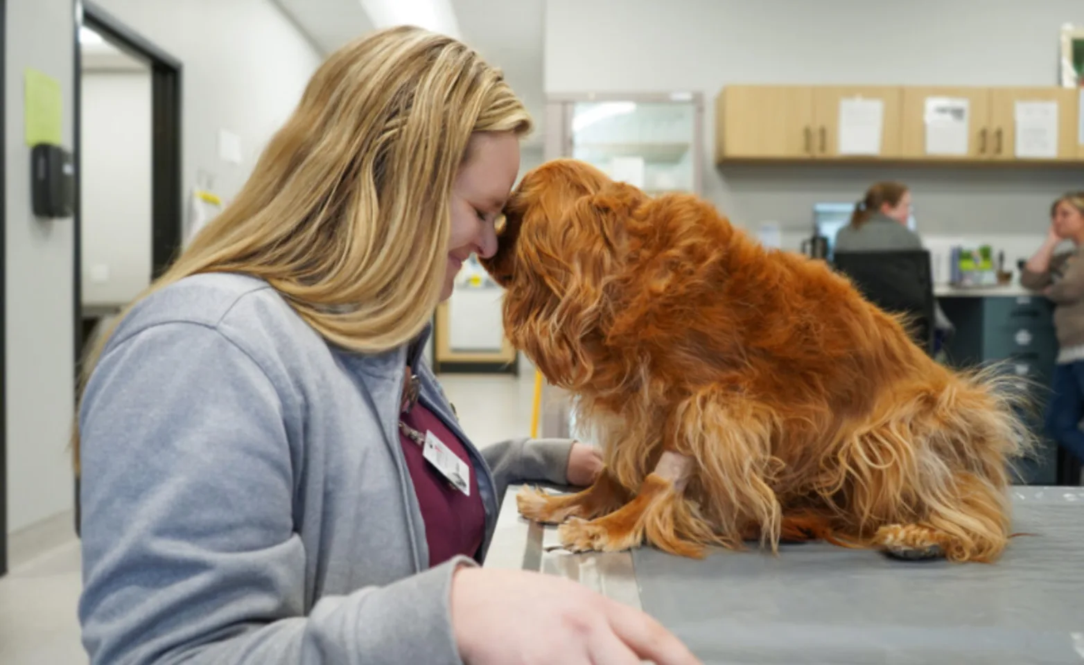 Veterinarian Touching Forehead with Dog Veterinarian Touching Forehead with Dog