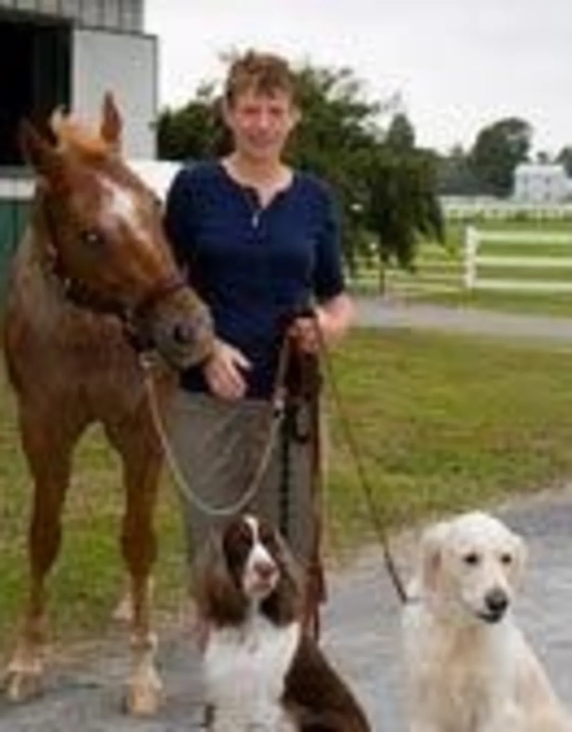 Dr. Ann Ayre Dr. Ann Ayre