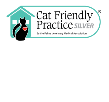 Cat Friendly Practice SILVER Logo
