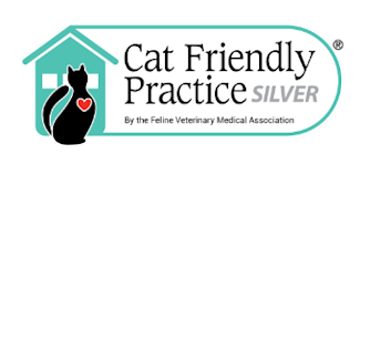 Cat Friendly Practice SILVER Logo Cat Friendly Practice SILVER Logo