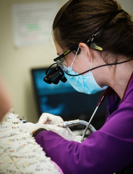 Staff wearing headlamp doing dental work 