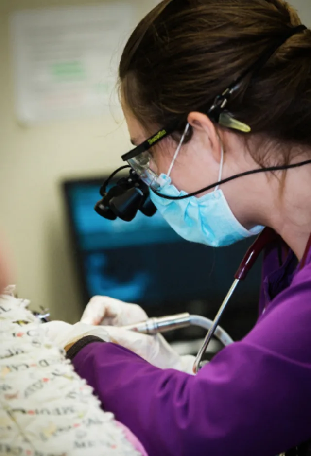 Staff wearing headlamp doing dental work Staff wearing headlamp doing dental work