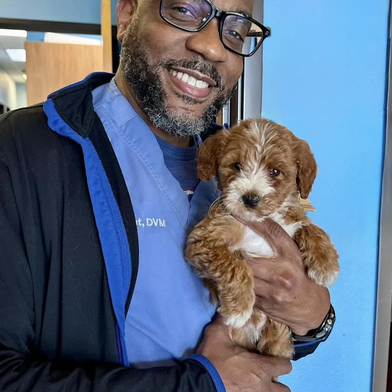 Portrait of Dr. Roderick Gant against a blue wall Portrait of Dr. Roderick Gant against a blue wall