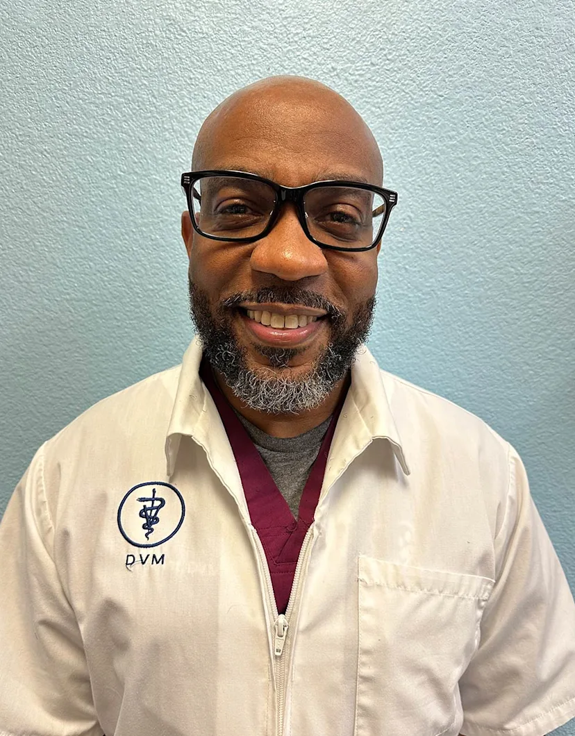 Doctor Roderick Robinson Dr. Roderick Gant | Mira Lagos Animal Clinic