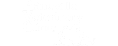 Prineville Veterinary Clinic Logo Prineville Veterinary Clinic Logo