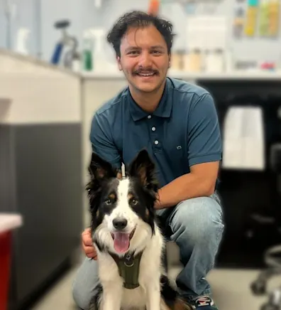 pencil puppy pencil puppy