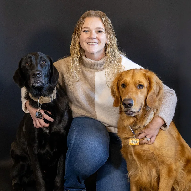 Alexis, CVT Alexis, CVT