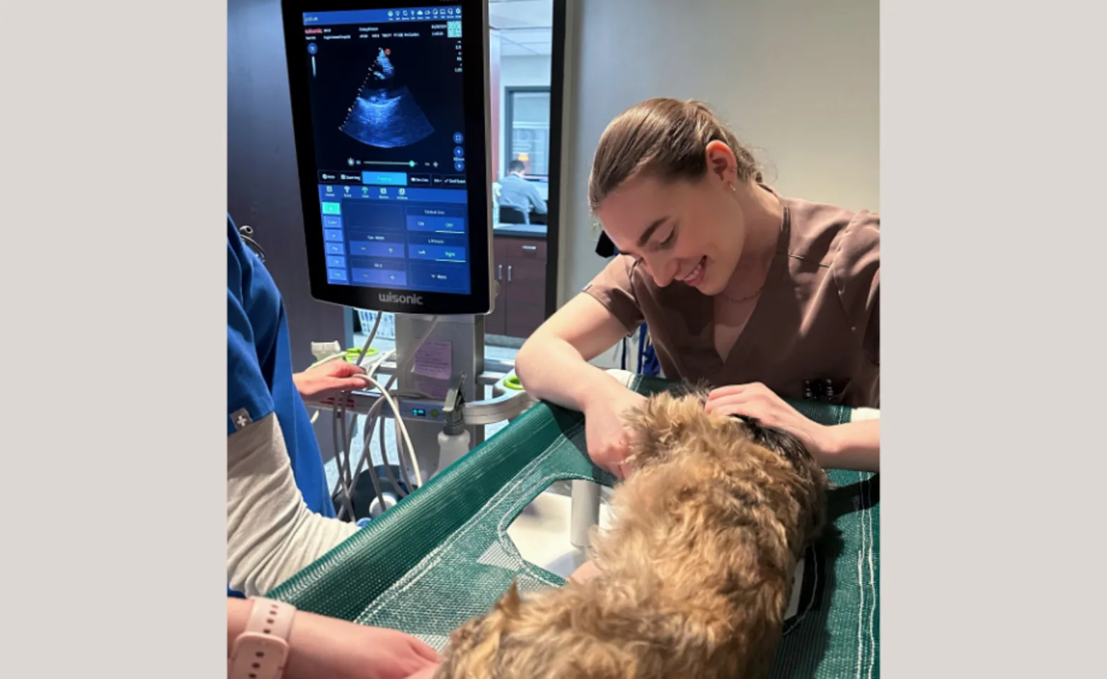Echocardiogram on a dog Echocardiogram on a dog