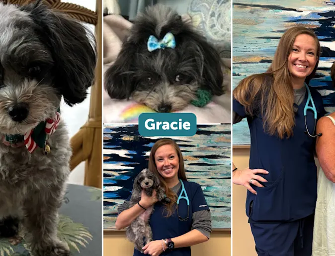 Gracie Cannon Gracie Cannon