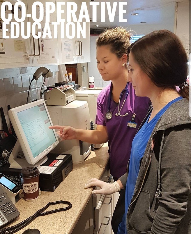 vet teaching student 