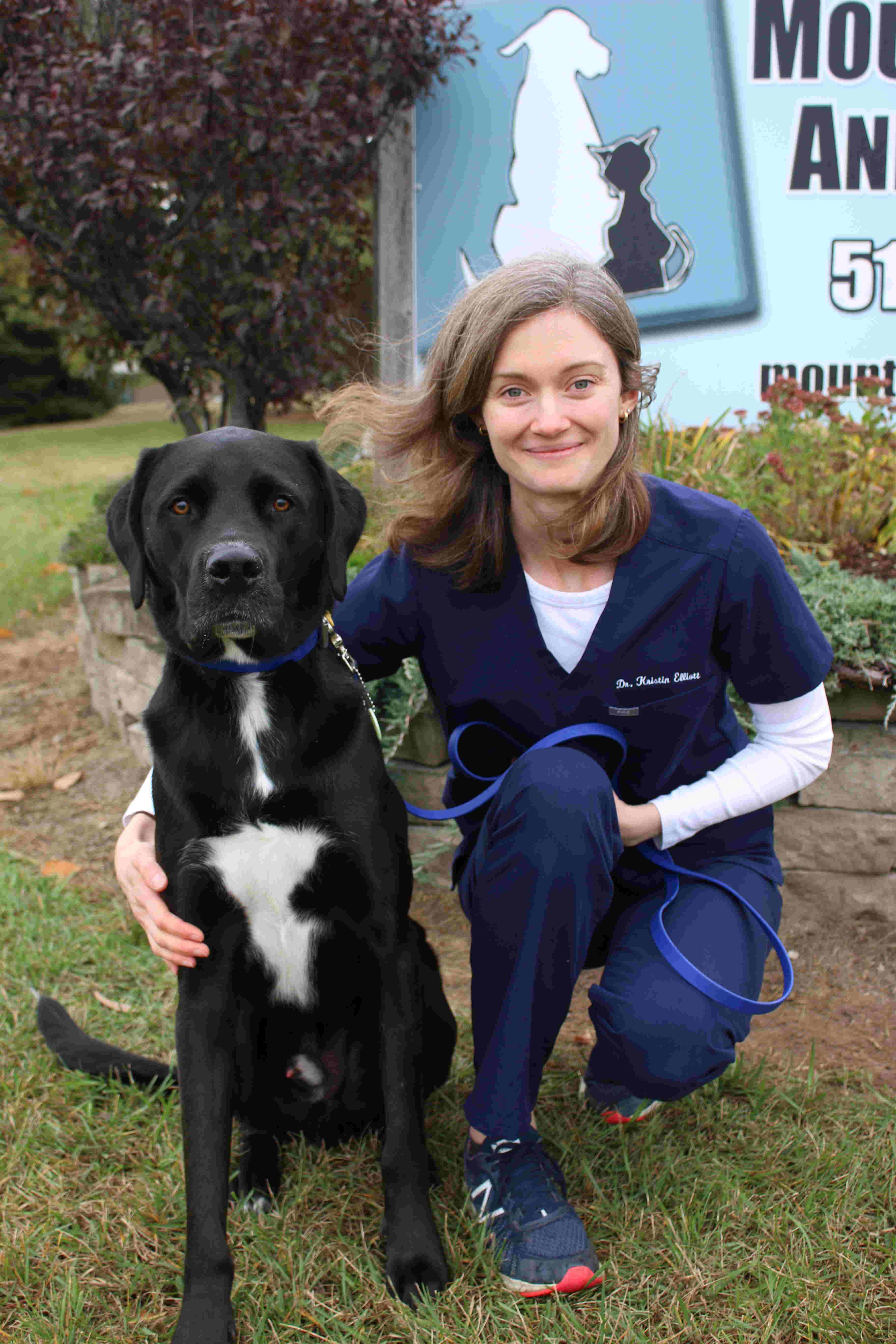 Experienced Veterinarians in Mount Brydges ON Mount Brydges