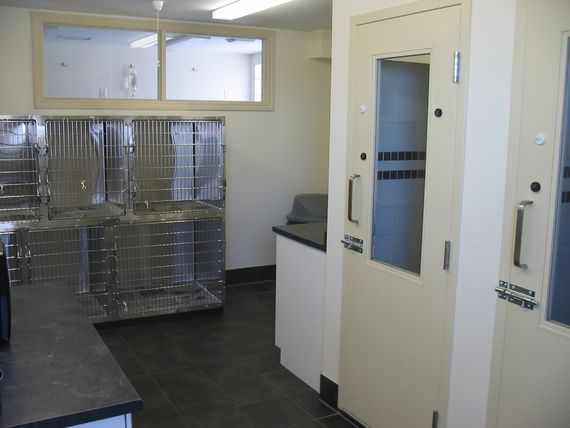 Dog Ward 
