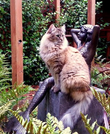 Fluffy cat perched on a mermaid sculpture in the garden 