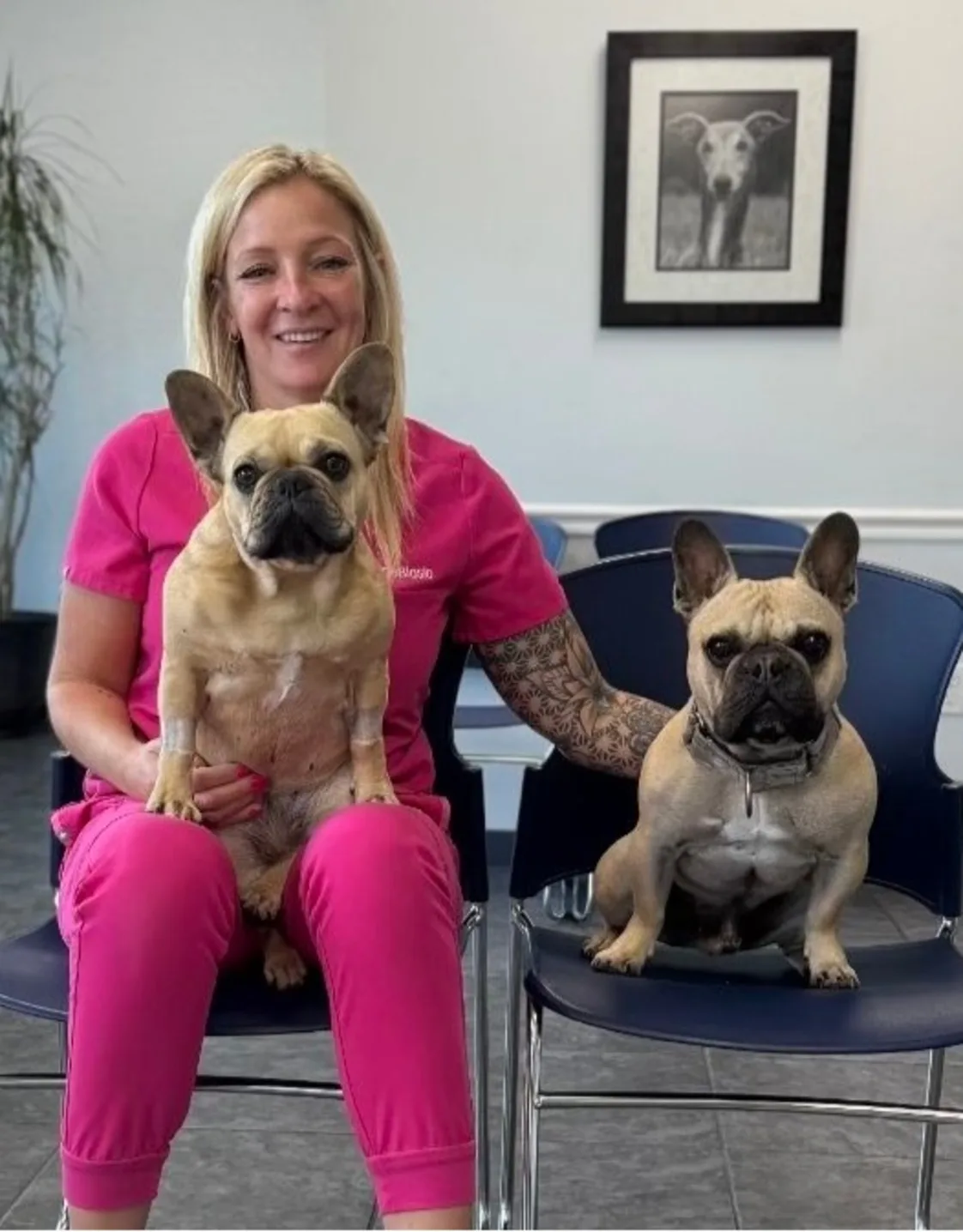 Dr. Meghan DeBiasio Dr. Meghan DeBiasio