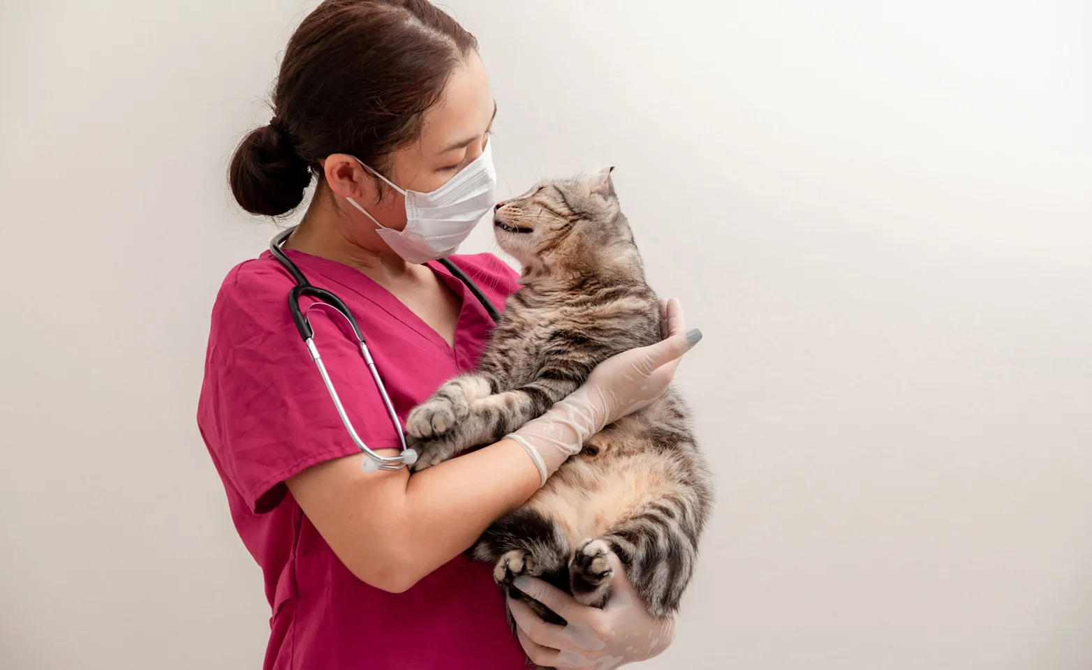 Staff wearing mask with cat