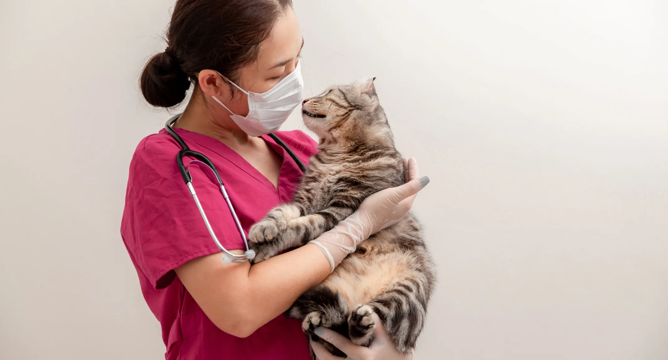 Staff wearing mask with cat