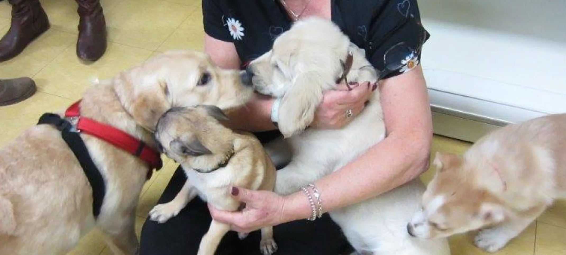 Puppy Happy Hour at Bowmanville Veterinary Clinic Puppy Happy Hour at Bowmanville Veterinary Clinic