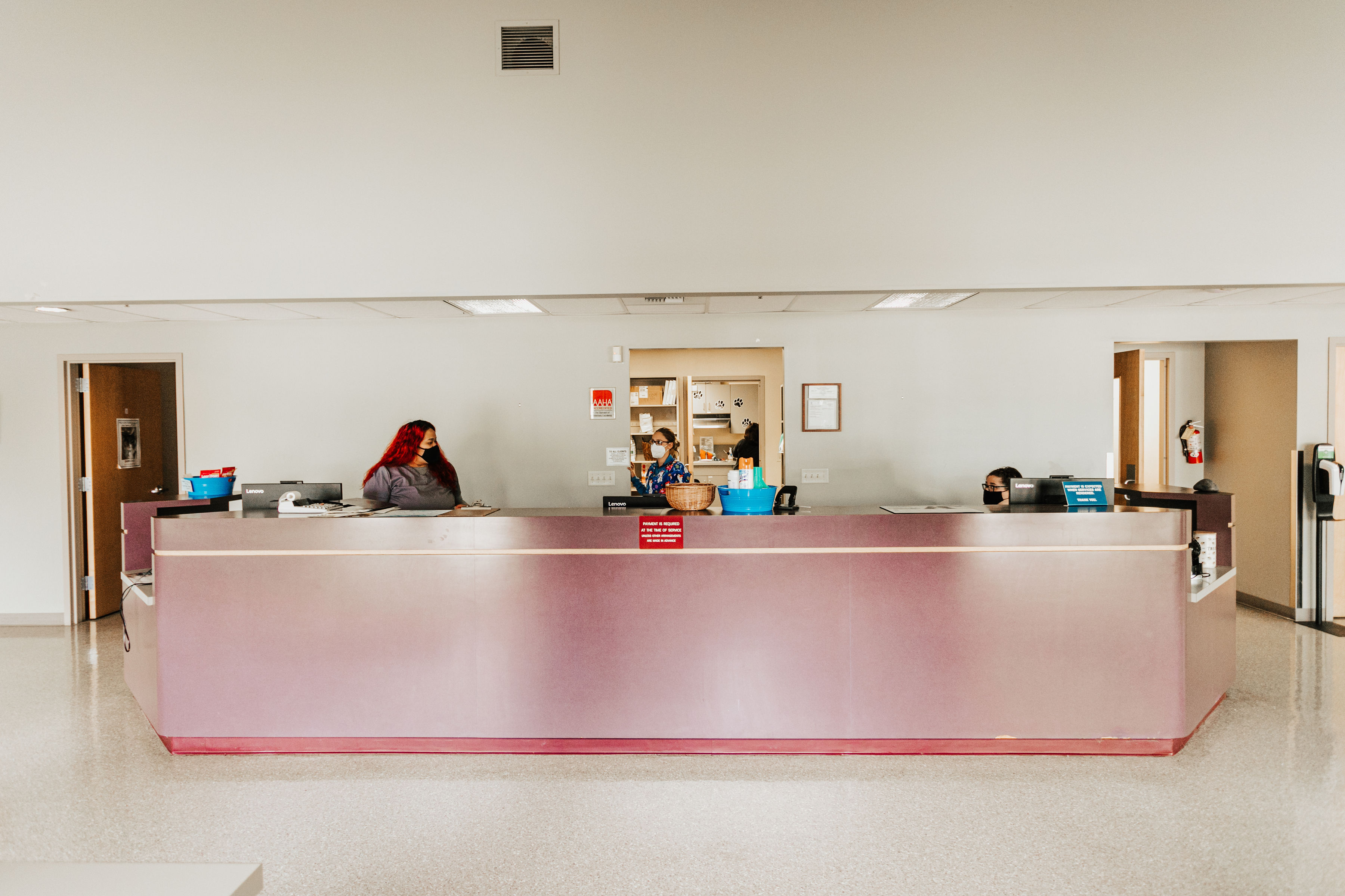 Full View Reception Desk at Chambers Creek Veterinary Hospital